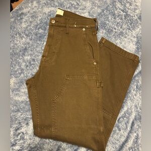 Hollister Brown carpenter Men Pants